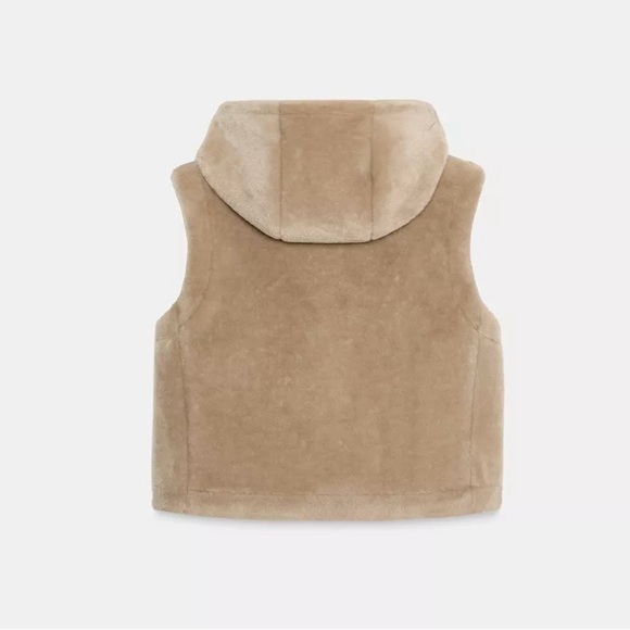 Zara Shearling Hooded Toggle Vest - Picture 6 of 9